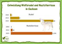 Wolfsrudel---Nutztierrisse.jpg